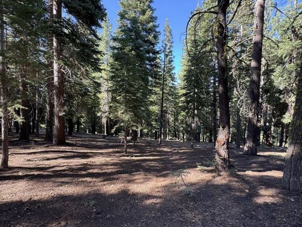 11710 Tundra Drive, Truckee, CA 96161