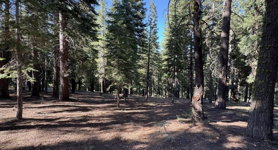 11710 Tundra Drive, Truckee, CA 96161 Photo