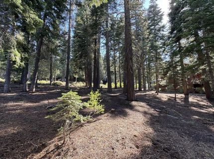 11710 Tundra Drive, Truckee, CA 96161 Photo