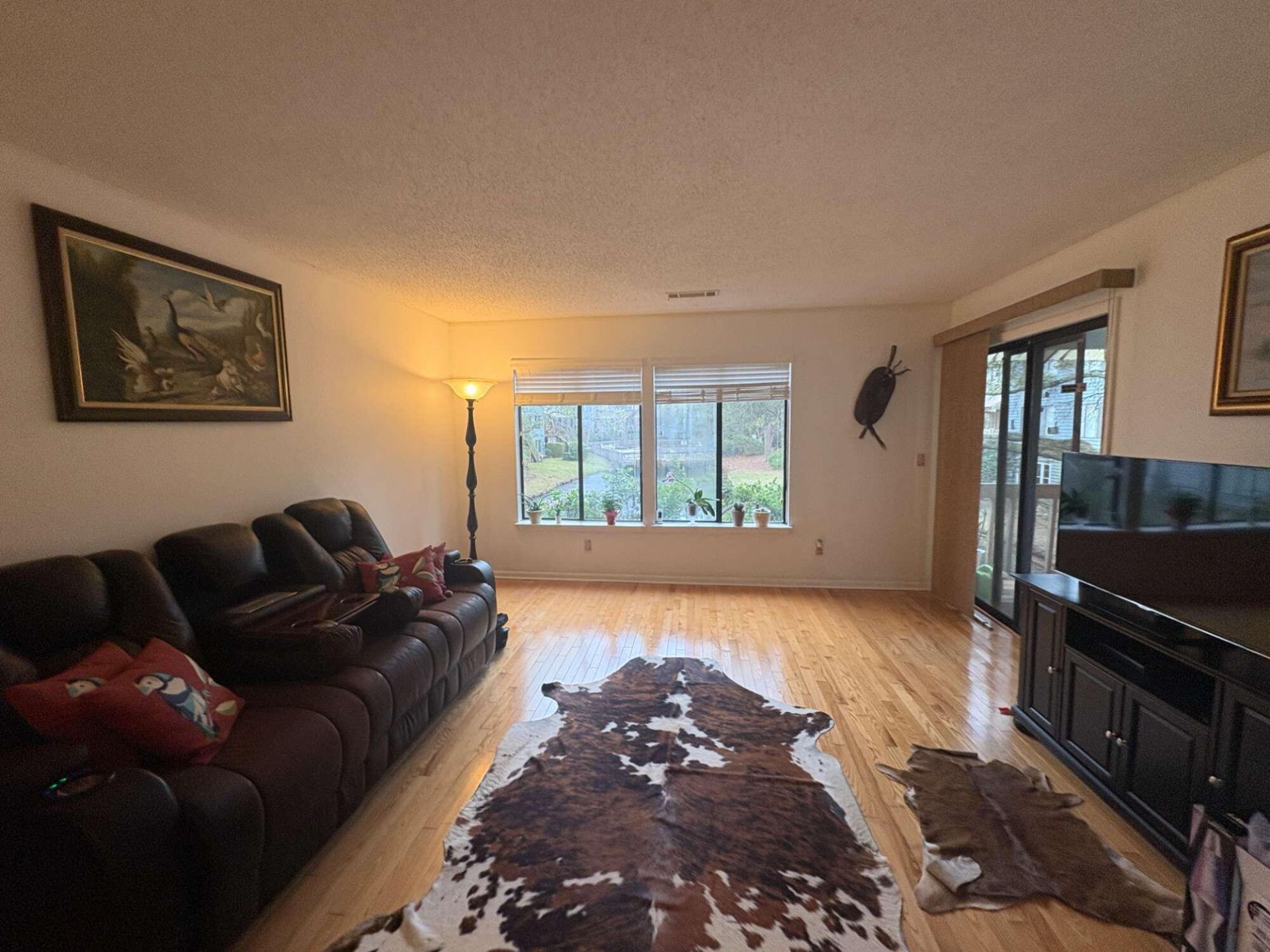 1161 Shadow Lake Circle Photo 5