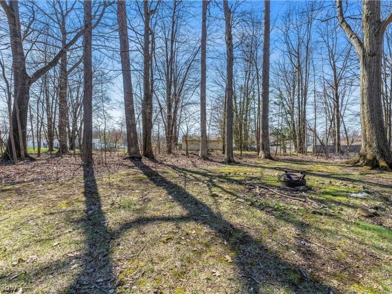 1151 Bryce Avenue, Aurora, OH 44202 Photo 28