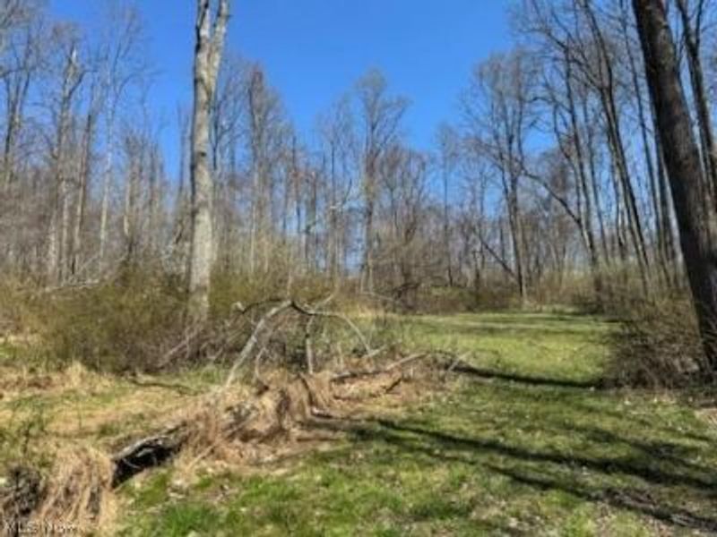 True Road SE, Uhrichsville, OH 44683 Photo 2