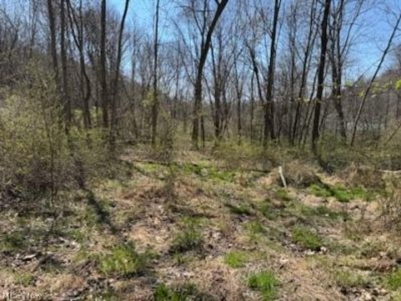 True Road SE, Uhrichsville, OH 44683 Photo 5