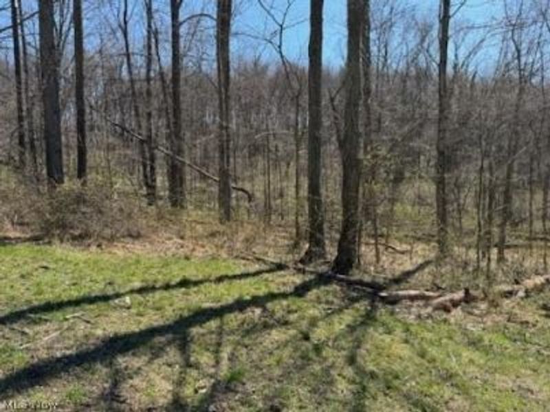 True Road SE, Uhrichsville, OH 44683 Photo 7