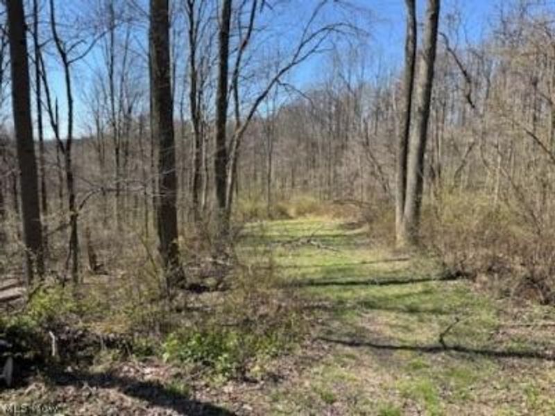 True Road SE, Uhrichsville, OH 44683 Photo 9