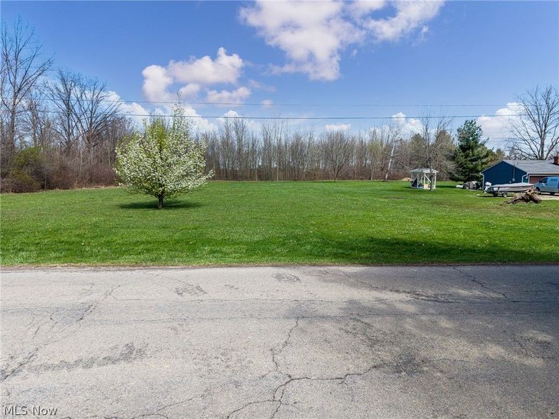 VL Cooley Road, Columbia Station, OH 44028 Photo 3