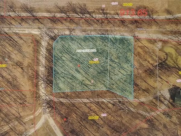 9 WOOD DUCK DRIVE, Ramsey, IL 62080