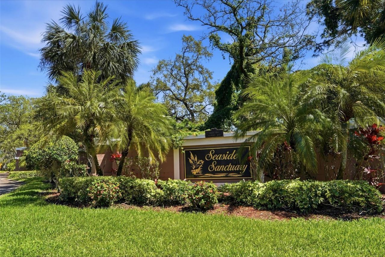 1718 Sanctuary Place , Crystal Beach, FL 34681 Photo