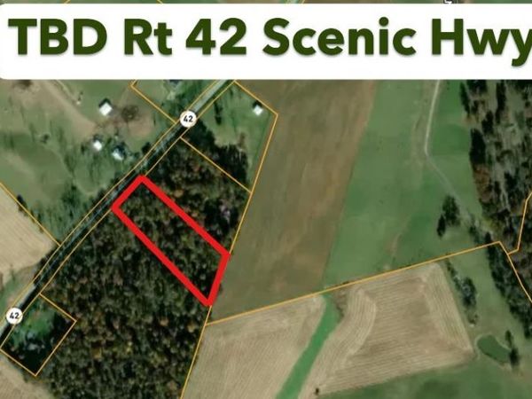 TBD N SCENIC HWY, MOUNT SOLON, VA 22843