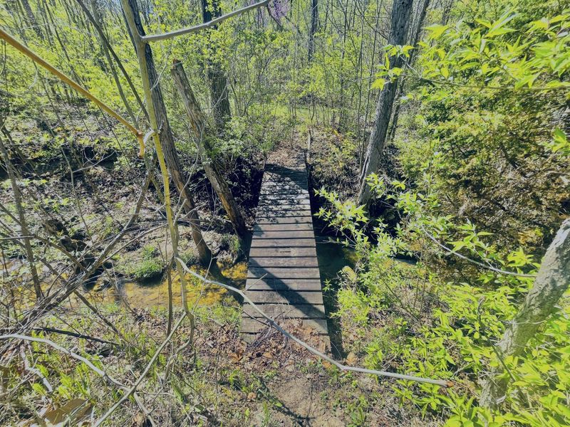 121 State, New Paris, OH 45347 Photo 21