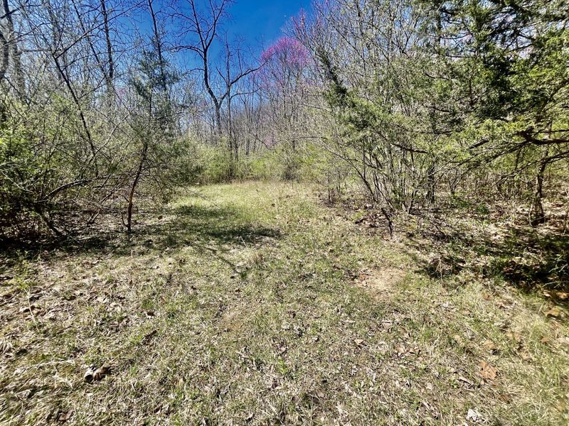 121 State, New Paris, OH 45347 Photo 22