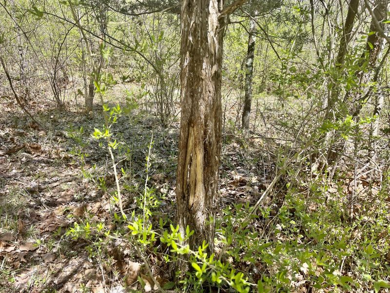 121 State, New Paris, OH 45347 Photo 23