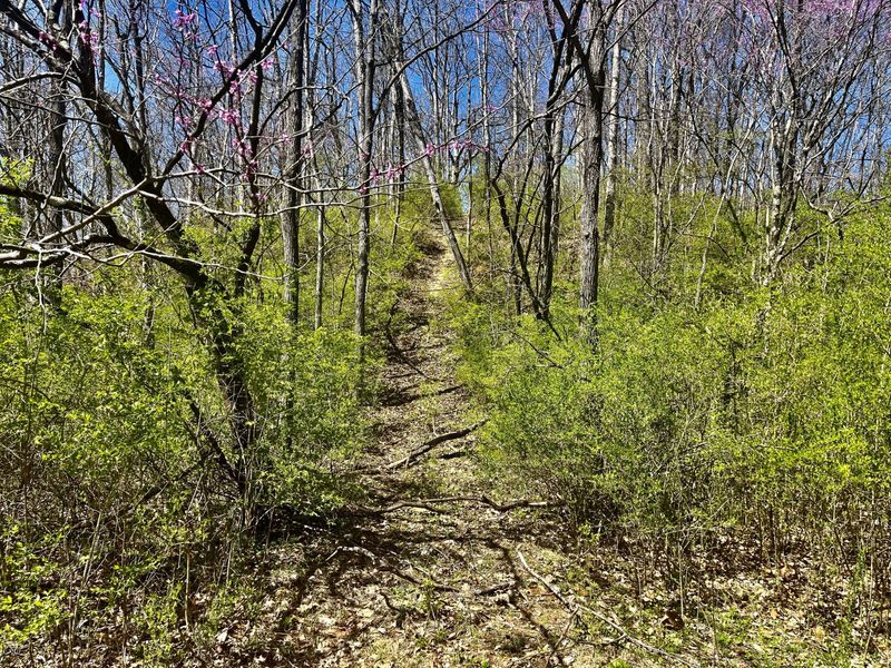 121 State, New Paris, OH 45347 Photo 24