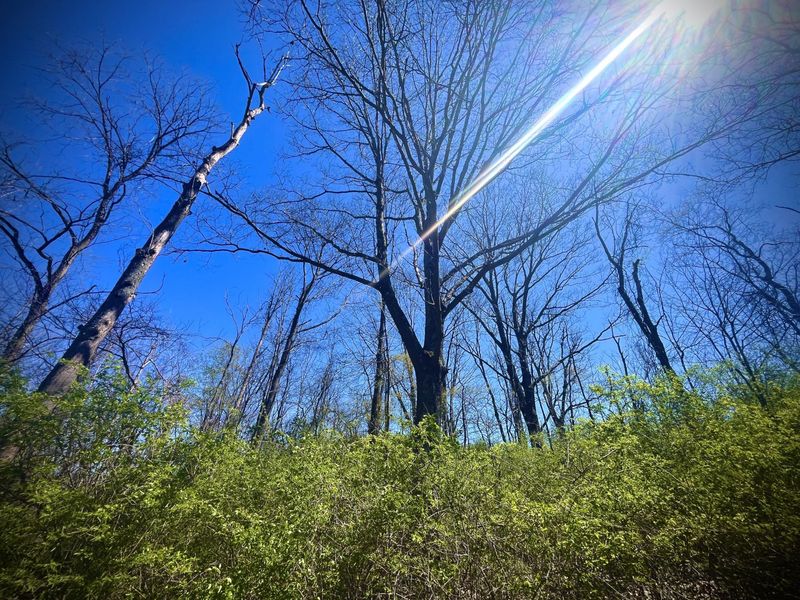 121 State, New Paris, OH 45347 Photo 25