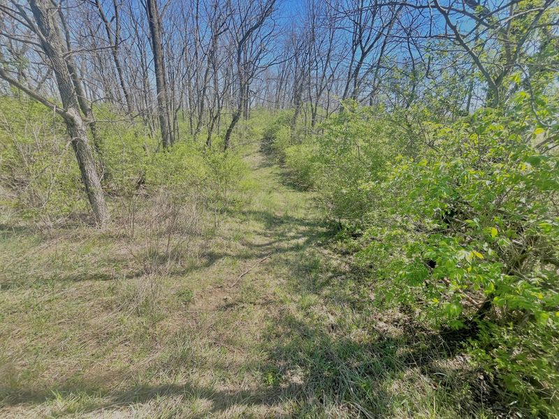 121 State, New Paris, OH 45347 Photo 26