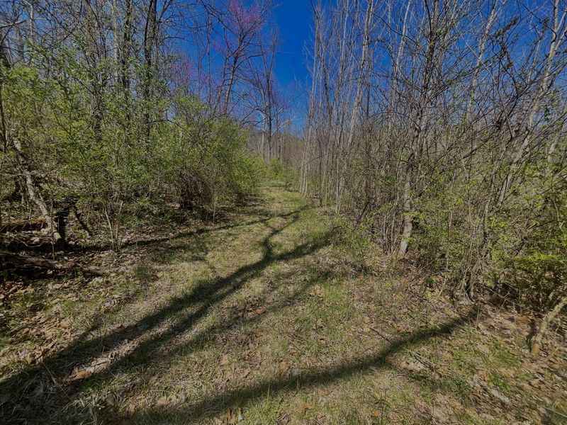 121 State, New Paris, OH 45347 Photo 27