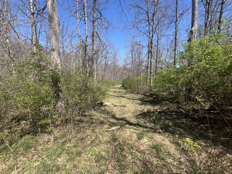 121 State, New Paris, OH 45347 Photo 28