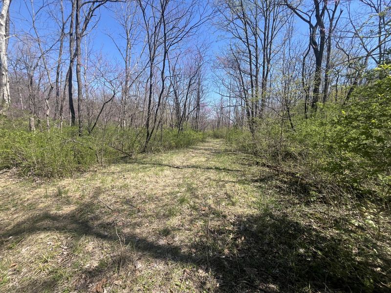 121 State, New Paris, OH 45347 Photo 29