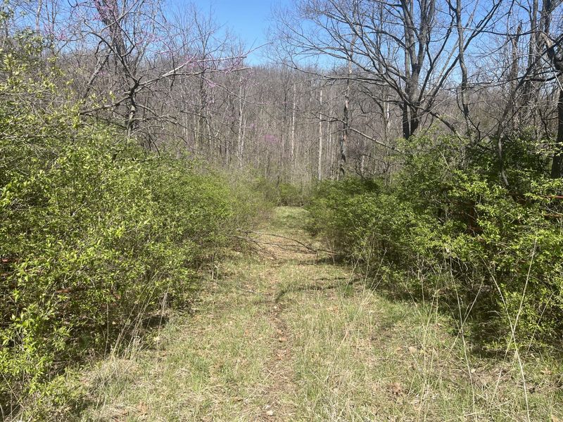 121 State, New Paris, OH 45347 Photo 30