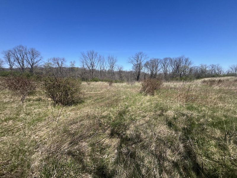 121 State, New Paris, OH 45347 Photo 31