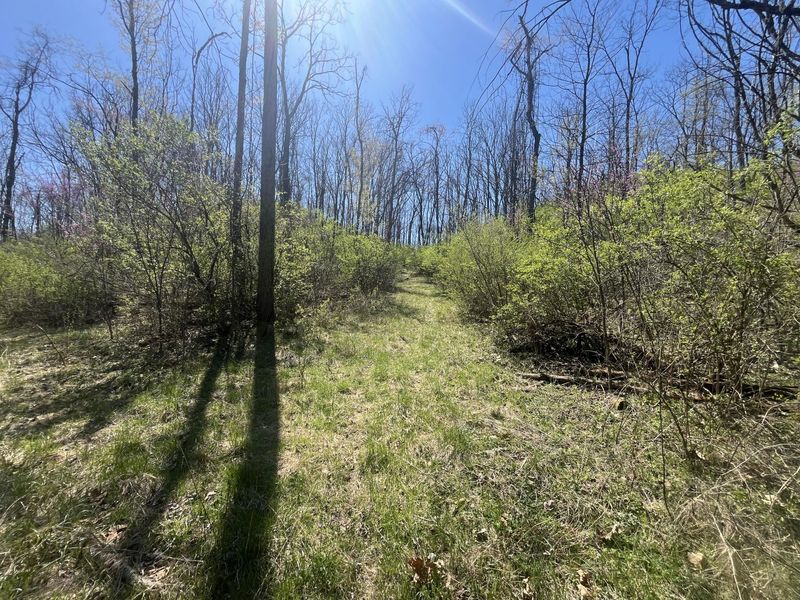 121 State, New Paris, OH 45347 Photo 32