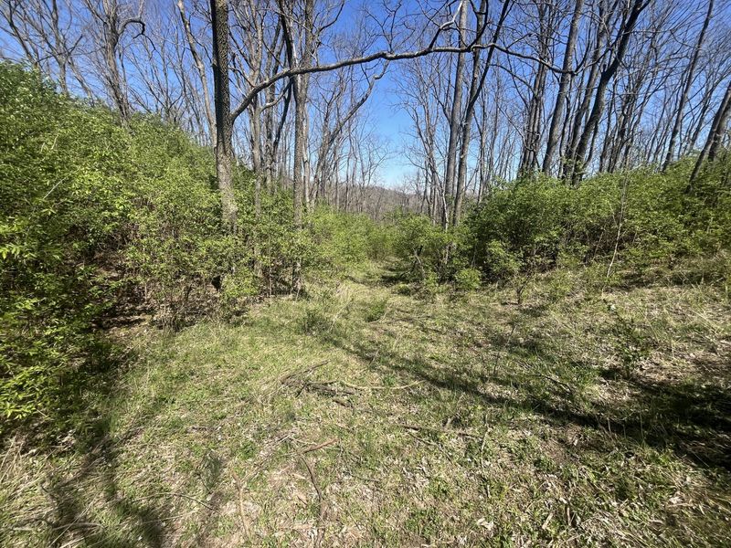 121 State, New Paris, OH 45347 Photo 33