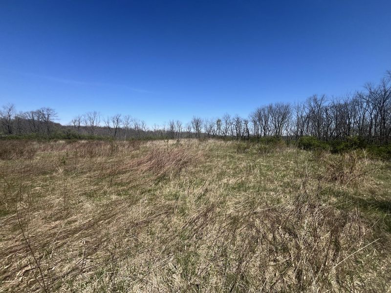 121 State, New Paris, OH 45347 Photo 36