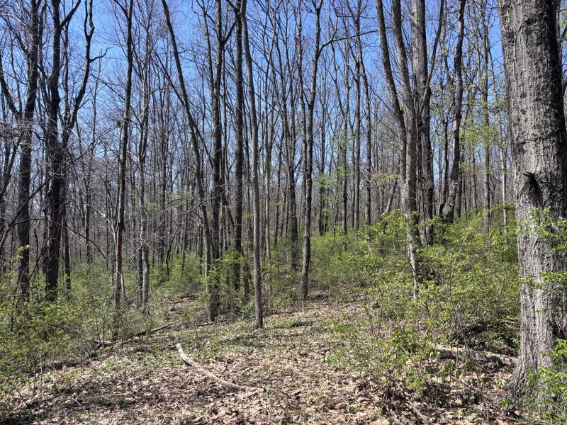 121 State, New Paris, OH 45347 Photo 37