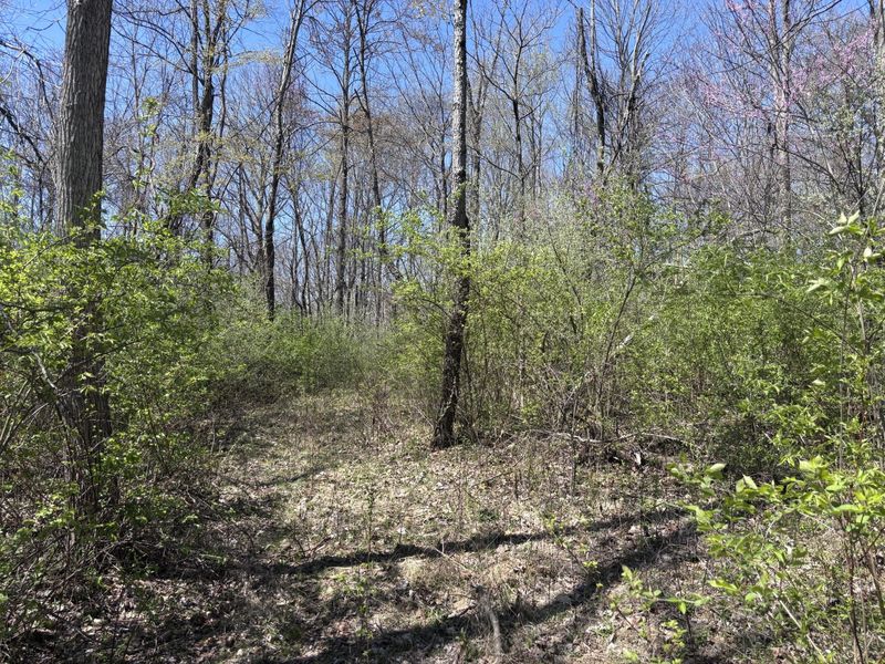 121 State, New Paris, OH 45347 Photo 38