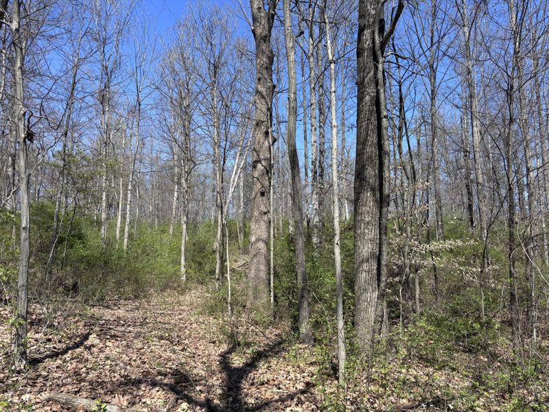 121 State, New Paris, OH 45347 Photo 39