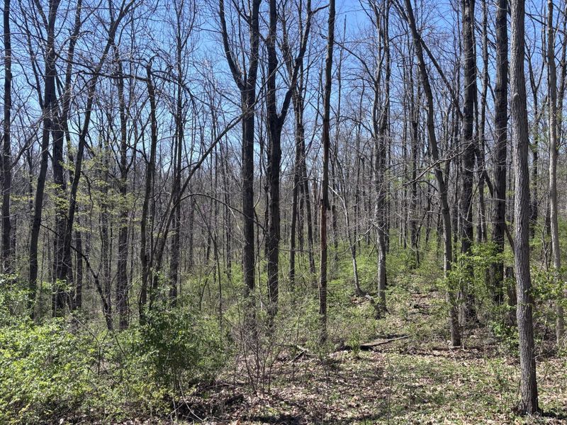 121 State, New Paris, OH 45347 Photo 41