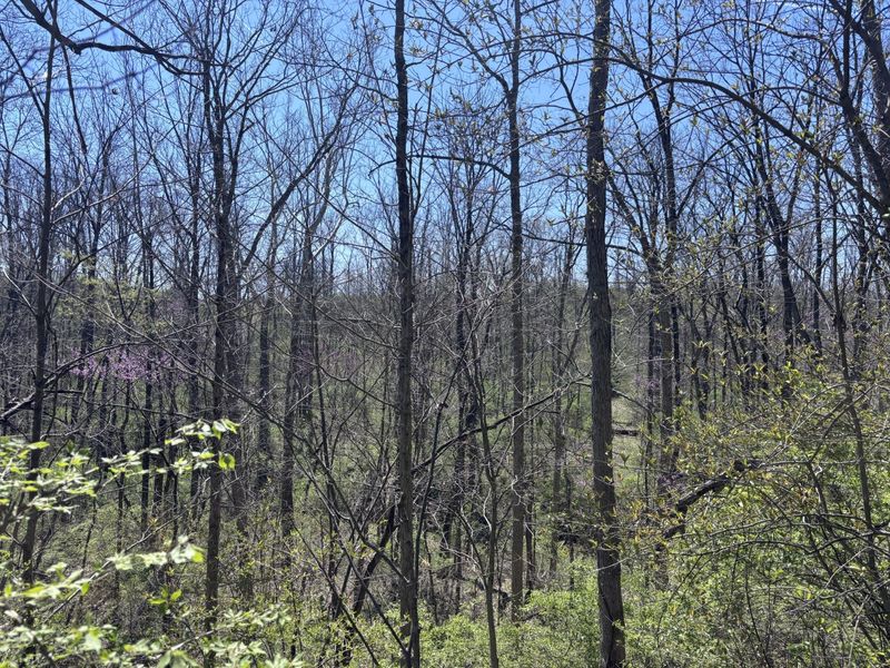 121 State, New Paris, OH 45347 Photo 42