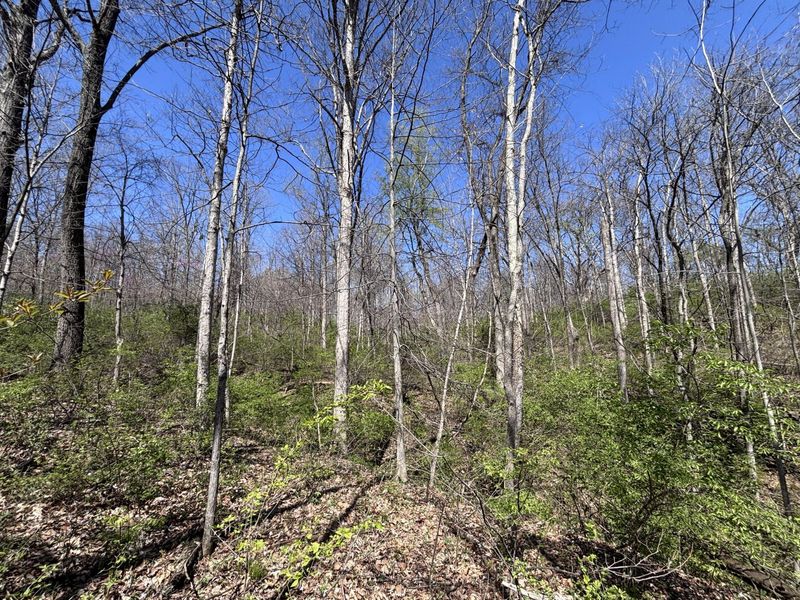 121 State, New Paris, OH 45347 Photo 43