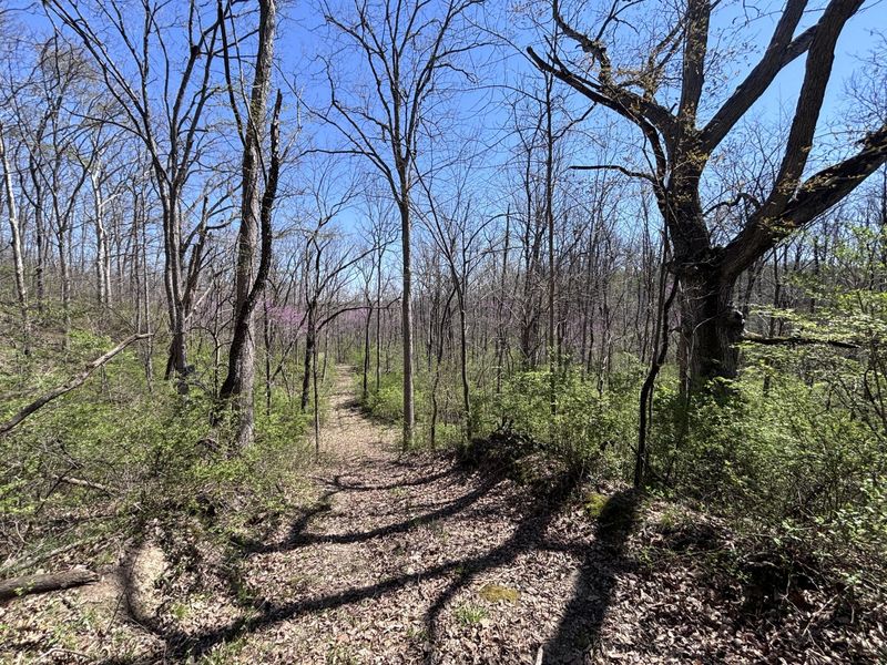 121 State, New Paris, OH 45347 Photo 44