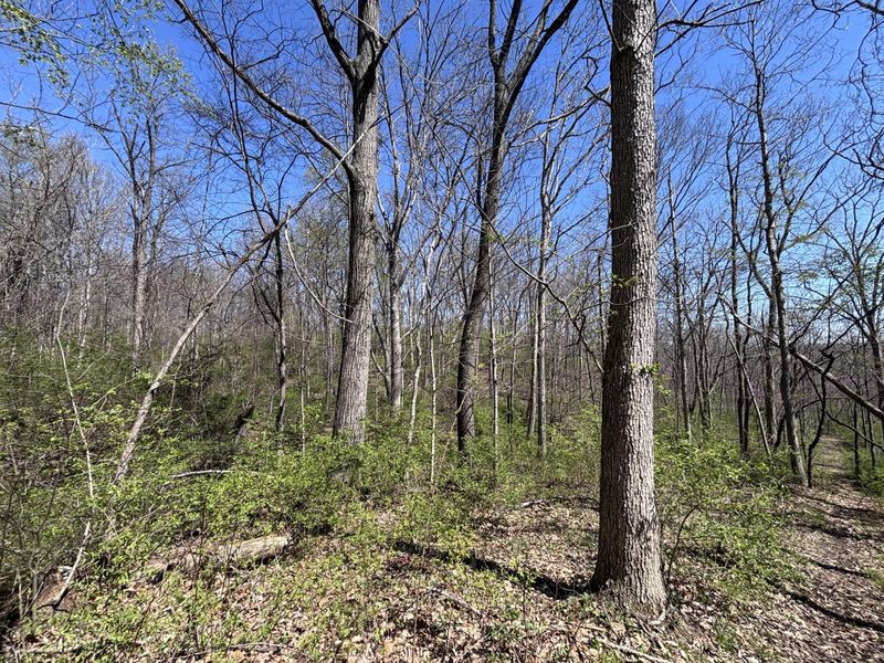 121 State, New Paris, OH 45347 Photo 45