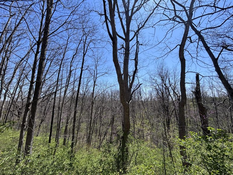 121 State, New Paris, OH 45347 Photo 46