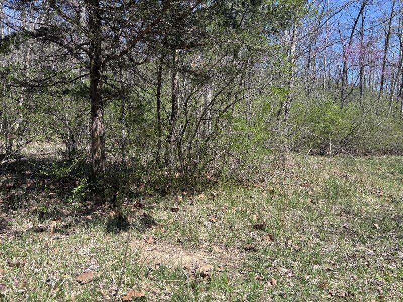 121 State, New Paris, OH 45347 Photo 47