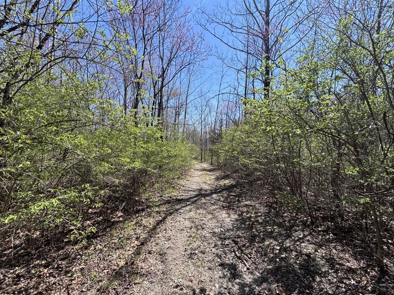 121 State, New Paris, OH 45347 Photo 50