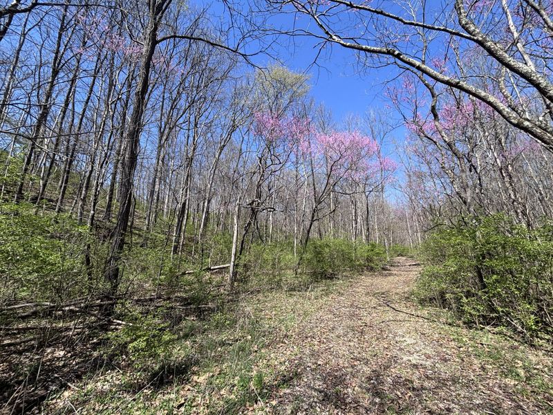 121 State, New Paris, OH 45347 Photo 51