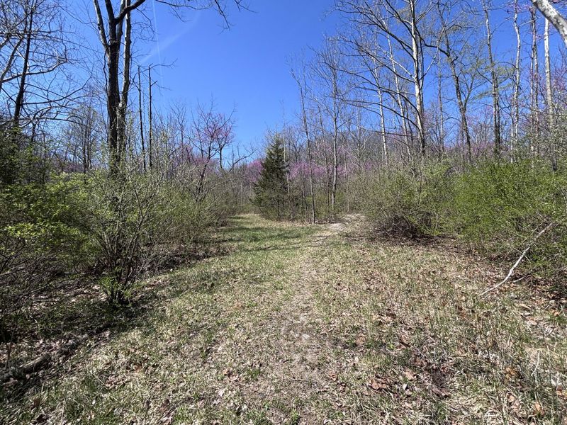 121 State, New Paris, OH 45347 Photo 53