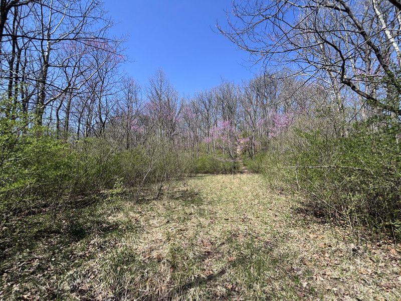 121 State, New Paris, OH 45347 Photo 55