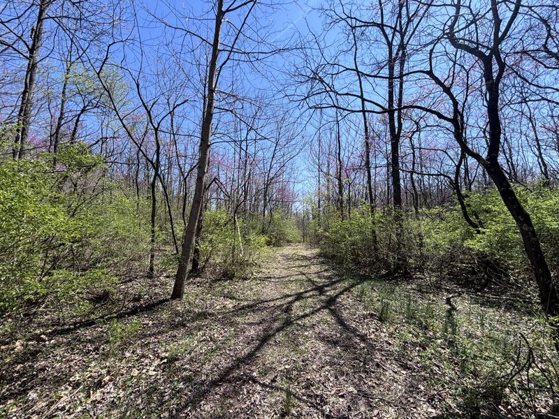 121 State, New Paris, OH 45347 Photo 56