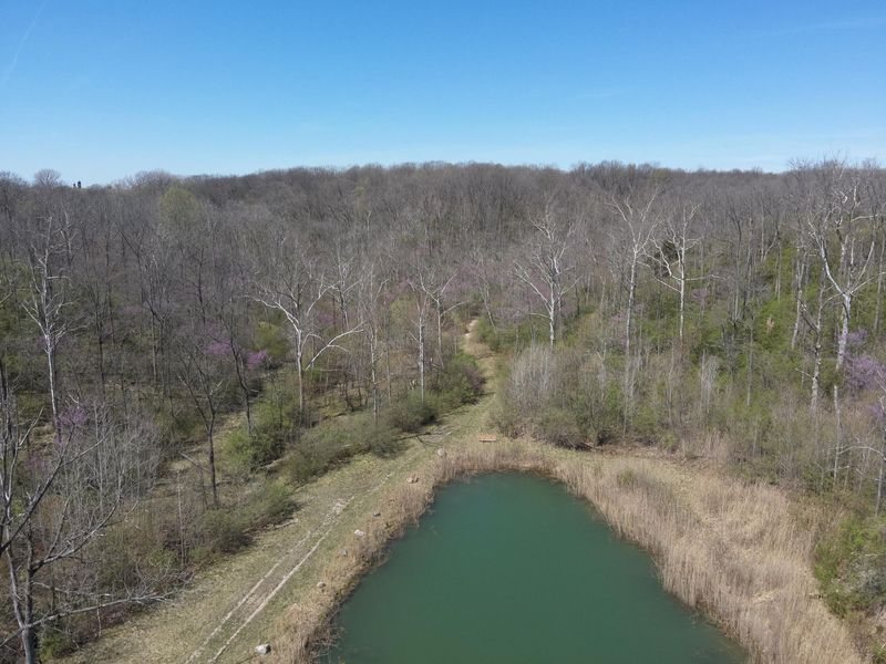 121 State, New Paris, OH 45347 Photo 6