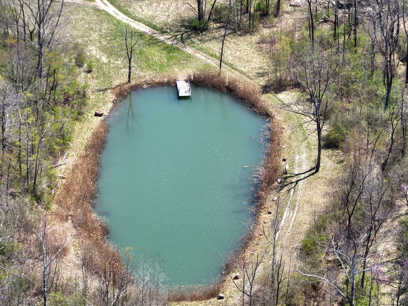 121 State, New Paris, OH 45347 Photo 9