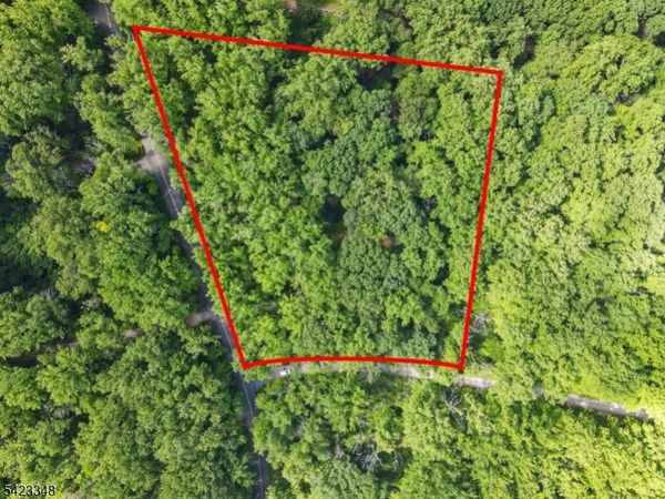 160 Jockey Hollow Rd, Bernardsville, NJ 07924