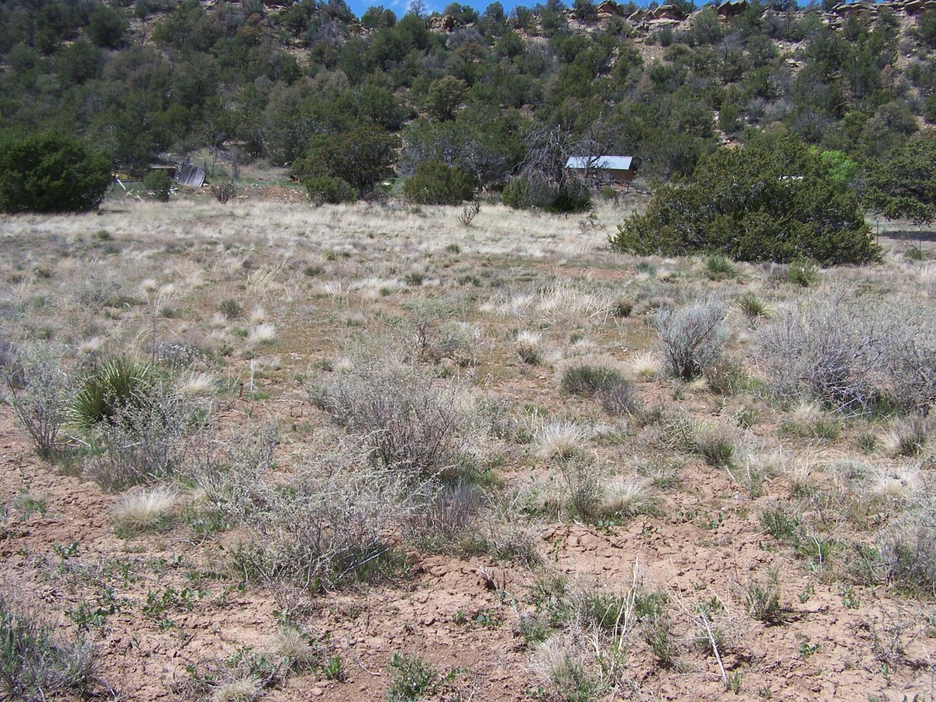 31 Candido Road, Tijeras, NM 87059 Main Photo
