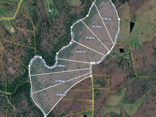 Tract 5 Ervin Brown Road, Sunbright, TN 37872