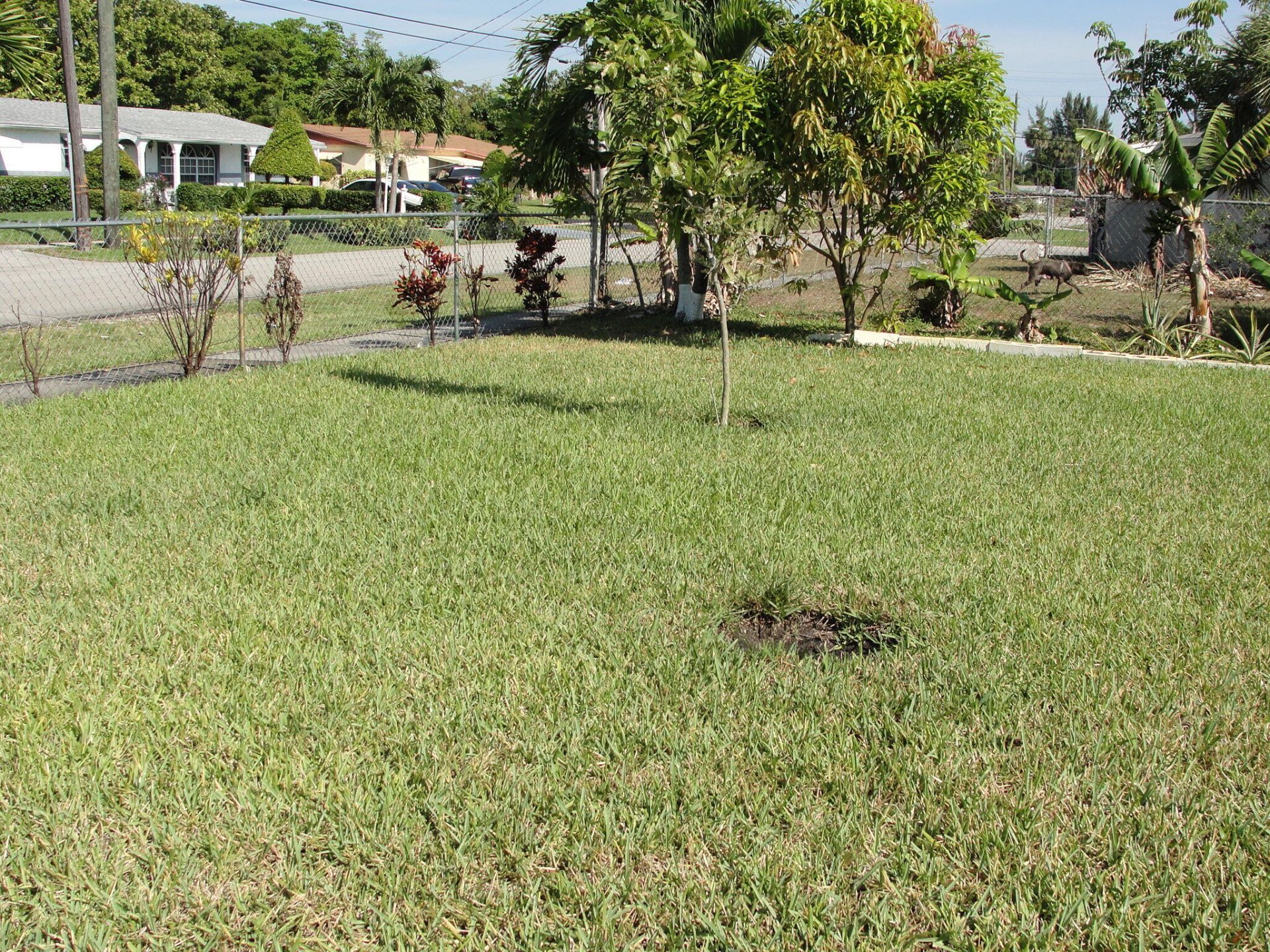 8253 NW 118th Way Nw, Parkland, FL 33076 Photo