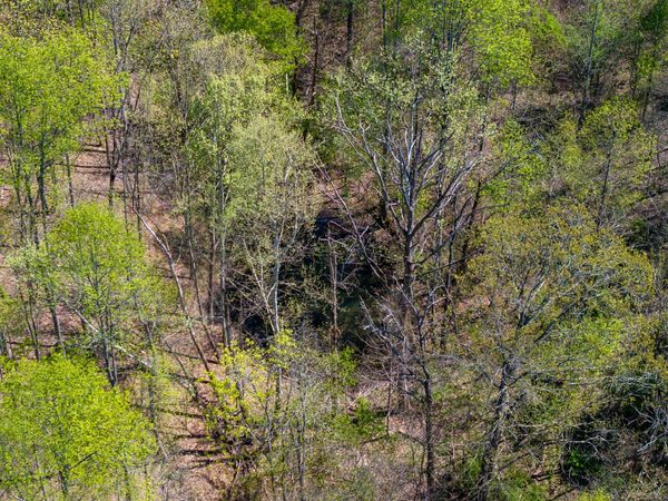 00 Dodson Branch Hwy, Cookeville, TN 38501