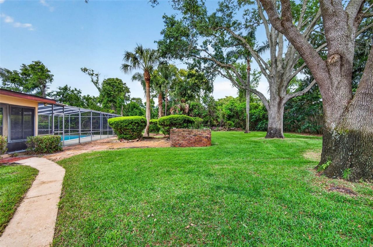 7 Eagle Lane, Palm Harbor, FL 34683 Photo
